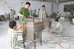 Thí điểm mô hình tổ chức hoạt động lao động, hướng nghiệp, dạy nghề cho phạm nhân ngoài trại giam