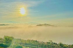 Mộng mơ với đồi Mây Đà Lạt