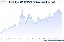 Giá dầu đi về đâu sau một loạt các báo cáo tháng quan trọng?