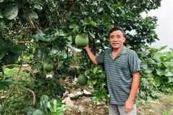 Người cựu chiến binh và con ruồi lính