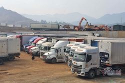 Vào mùa cao điểm lo ùn ứ nông sản, Trung Quốc đưa ra đề nghị mới với Việt Nam