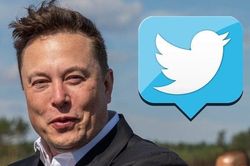 Nhân viên Twitter 'trầm cảm' sau cuộc họp với Elon Musk