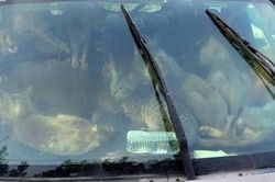 Người đàn ông sống trong ô tô giữa cái nóng thiêu đốt, phát hiện bên trong xe còn sốc hơn
