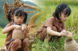 Bé gái thủ đô trải nghiệm đẩy xe lúa, đeo rọ đi bắt cua đồng