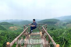 Tích hợp đa giá trị trong sản xuất nông nghiệp