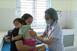WHO khuyến cáo biện pháp phòng tránh bệnh sốt xuất huyết