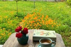Đến Debay Café, để bay về tuổi thơ