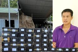 Ngặn chặn kịp thời vụ vận chuyển trái phép hàng hóa lớn qua biên giới