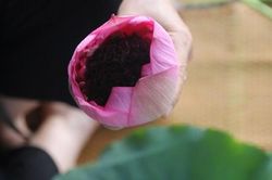 Thức uống không thể bỏ lỡ của người Hà Nội vào mùa hè