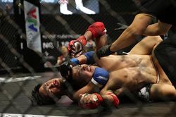 Vòng loại LION Championship: 12 trận đấu kịch tính khu vực Miền Trung - Tây Nguyên