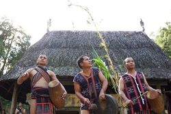 Mẹ rừng - Phim tài liệu bằng tiếng Cơ Tu