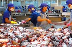 Xuất khẩu cá tra trên đà phục hồi mạnh, dự báo đạt 2,6 tỷ USD trong năm 2022