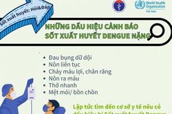 Cao điểm dịch sốt xuất huyết: Cần chủ động phòng bệnh