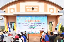 Mang Yang: Phát động trồng cây 'Đời đời nhớ ơn Bác Hồ'
