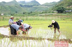 Chuyện về những 'nhà báo huyện'