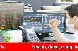 Thị trường chứng khoán: Kênh huy động vốn quan trọng của nền kinh tế
