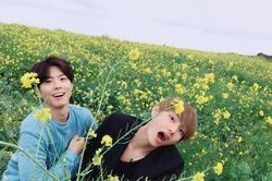 V BTS từng khăn gói tới thăm Park Bo Gum trong quân đội