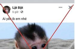 Gia tăng nạn buôn bán động vật hoang dã trên mạng xã hội