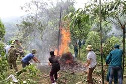 Tuyên Quang: Nguy cơ cháy rừng ở cấp nguy hiểm tại 36 xã