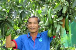 Mười năm tăng trưởng nông nghiệp ở Bảo Lâm