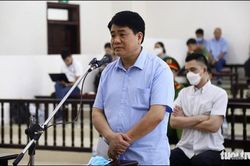 Đời sống Đời sống Sự tự do mới là vô giá