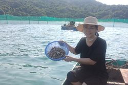 Phóng sự phát thanh cần sự chân thật, tự nhiên trong từng khoảnh khắc
