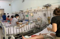TP Hồ Chí Minh: Số ca mắc sốt xuất huyết liên tục tăng nhanh