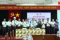 Angimex xây dựng vùng nguyên liệu lúa, nếp bền vững tại An Giang
