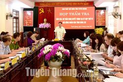 Ban Pháp chế HĐND tỉnh thẩm tra các dự thảo nghị quyết trình kỳ họp thứ 4 HĐND tỉnh