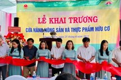 Kinh tế Nông nghiệp - Nông thôn Quảng Điền khai trương cửa hàng nông sản và thực phẩm hữu cơ