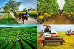 Mục tiêu nâng cao toàn diện đời sống vật chất, tinh thần của nông dân và cư dân nông thôn
