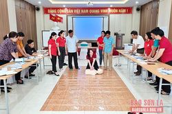 Thêm kiến thức cho cán bộ, tình nguyện viên chữ thập đỏ