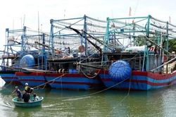 Tàu cá nằm bờ vì giá xăng dầu tăng