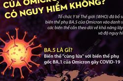 Việt Nam đã ghi nhận biến chủng BA.5, tiêm vắc xin rất cần thiết!