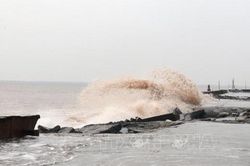 Chủ động ứng phó với vùng áp thấp có khả năng mạnh lên thành bão và gió mạnh trên biển