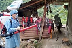 Phòng, chống bệnh sốt xuất huyết