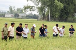 Ứng dụng khoa học kỹ thuật, nâng cao hiệu quả sản xuất