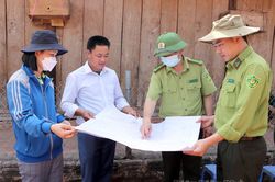 Giao đất lâm nghiệp chưa có rừng ở huyện Mường Nhé