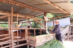 Hiệu quả tín dụng ưu đãi ở Lạc Xuân