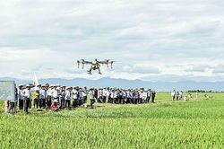 Thúc đẩy chuyển đổi số trong hoạt động của hợp tác xã