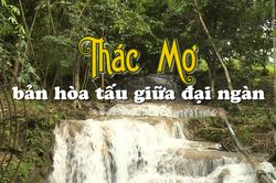 Thác Mơ - Bản hòa tấu giữa đại ngàn