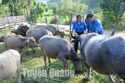 Sức trẻ vùng đất khó