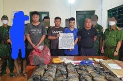 Vận chuyển thuê 174.000 viên ma túy với giá 320 triệu đồng