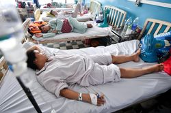 Ba người tử vong do nhiễm chủng sốt xuất huyết có độc lực cao
