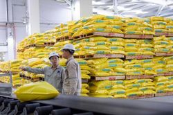 Thị trường phân bón liệu có còn biến động?