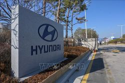 Đức điều tra nhiều địa điểm văn phòng của Hyundai-Kia liên quan đến cáo buộc gian lận khí thải