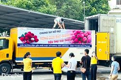 Bưu điện tỉnh hỗ trợ tiêu thụ 13 tấn vải thiều Bắc Giang