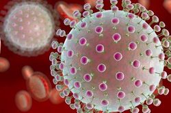 6 tháng đầu năm 2022 có 110 ca mắc bệnh viêm não virus, 3 người tử vong