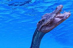 Kinh hãi 'bản sao' quái vật hồ Loch Ness qua lời kể nhân chứng