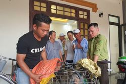 Quảng Trị: Bắt cá thể khỉ hoang quý hiếm đại náo nhà dân